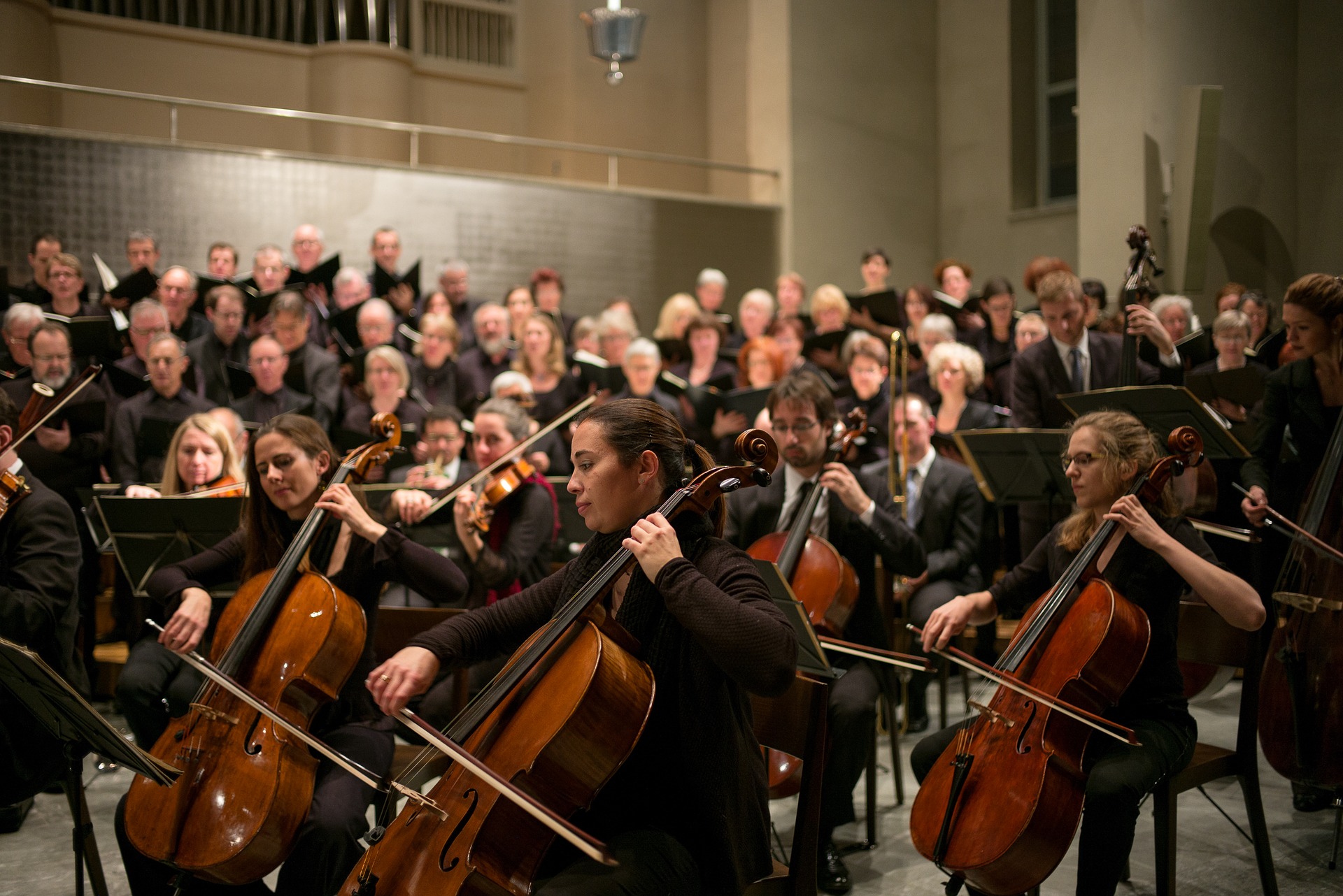 Steiner, T. (2017). Orquesta [fotografía].Imagen de un segmento de cuerdas en orquesta.